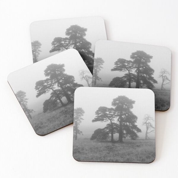 Item preview, Scots Pines in the Mist designed and sold by Craig Joiner.