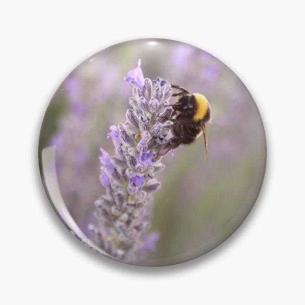 Item preview, Bumblebee On Lavender Photograph Up Close designed and sold by taiche.