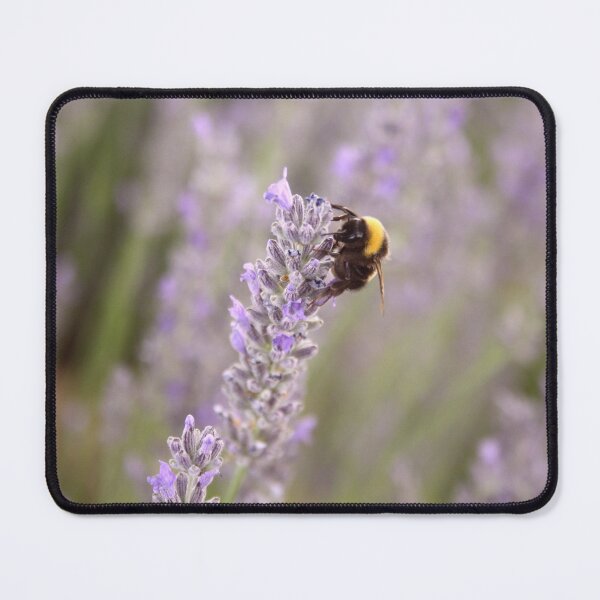 Item preview, Bumblebee On Lavender Photograph Up Close designed and sold by taiche.