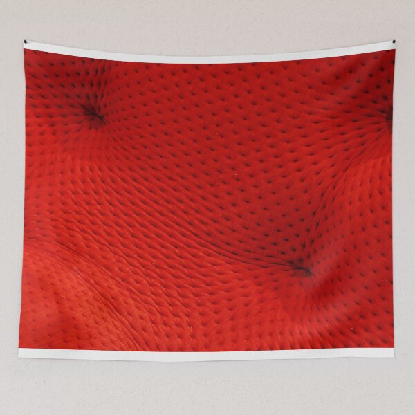 Item preview, Cosmic Voyage - 2 ©  designed and sold by © Hany G. Jadaa © Prince John Photography.