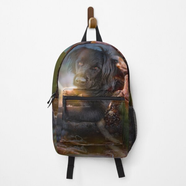 Item preview, Dog in a nutshell designed and sold by OskiOnTour.