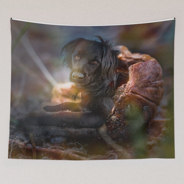 Item preview, Dog in a nutshell designed and sold by OskiOnTour.