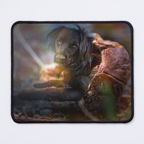 Item preview, Dog in a nutshell designed and sold by OskiOnTour.