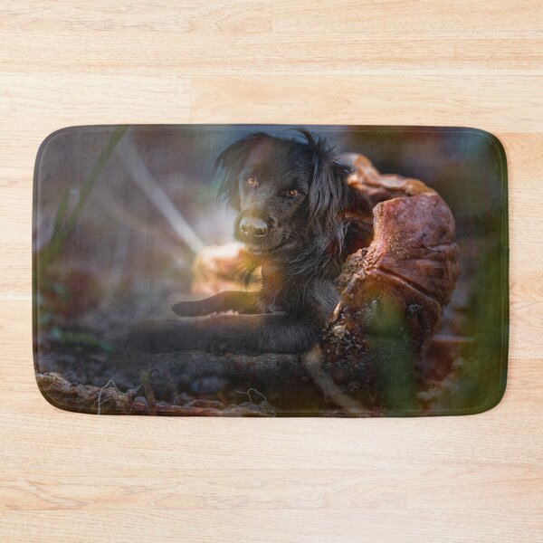 Item preview, Dog in a nutshell designed and sold by OskiOnTour.
