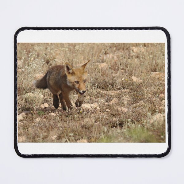 Item preview, fox cub walking out designed and sold by Alexandrezorro.