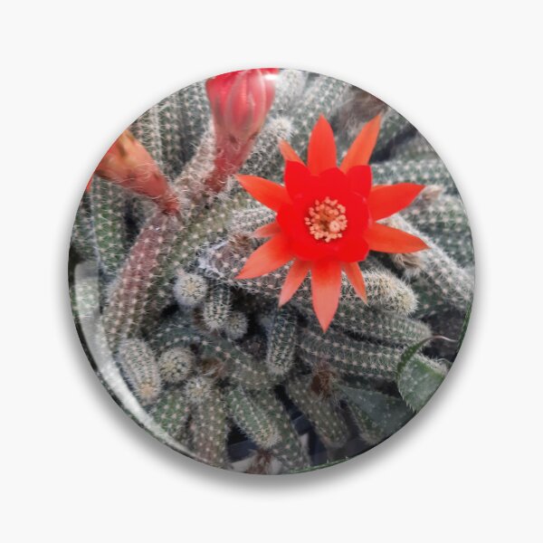 Item preview, Flower- Cactus designed and sold by Dreammkd.