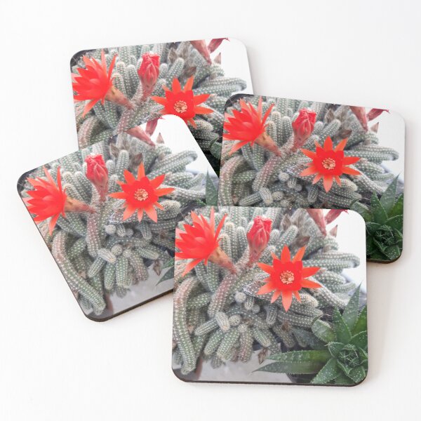 Item preview, Flower- Cactus designed and sold by Dreammkd.