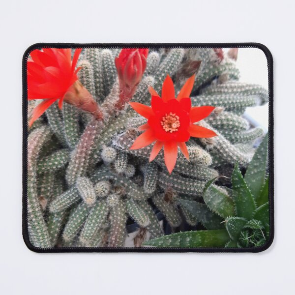 Item preview, Flower- Cactus designed and sold by Dreammkd.