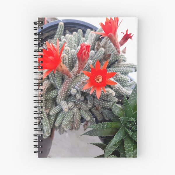 Item preview, Flower- Cactus designed and sold by Dreammkd.