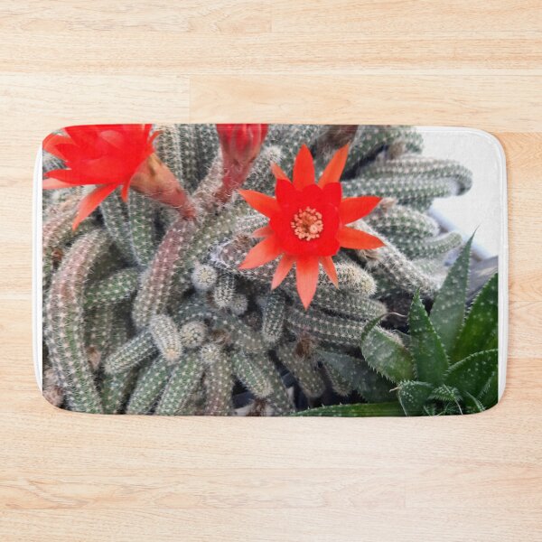 Item preview, Flower- Cactus designed and sold by Dreammkd.