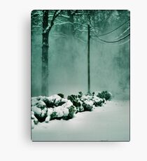 Winter Magic Canvas Print