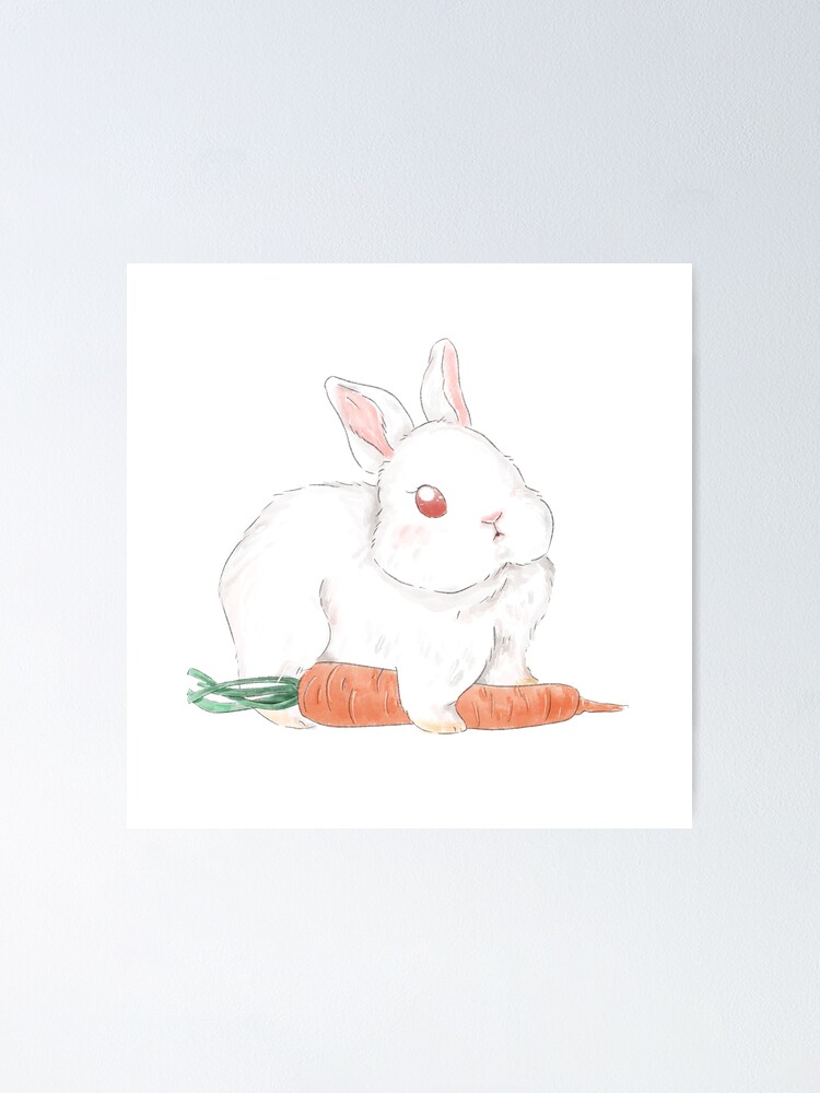Lapin dans une pochette de fraise et de carotte, oreiller en