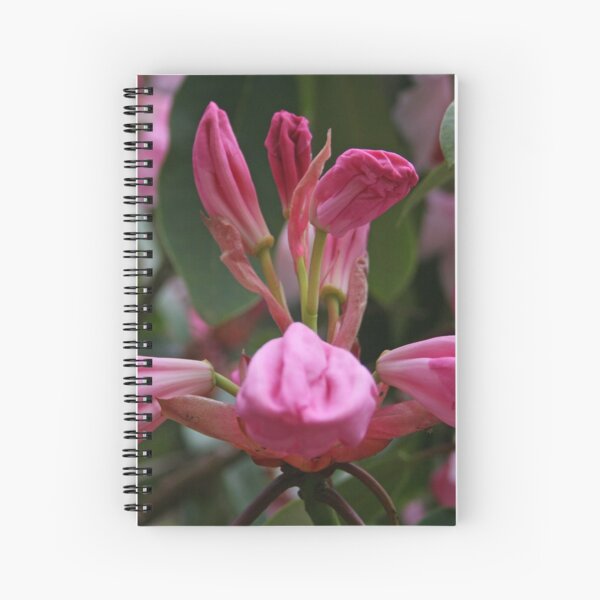 Item preview, Ready to Burst designed and sold by RedHillDigital.