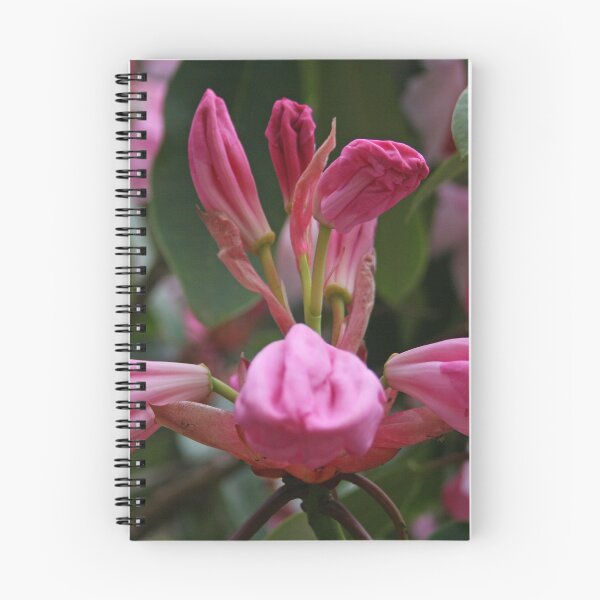 Item preview, Ready to Burst designed and sold by RedHillDigital.