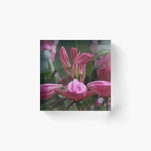 Item preview, Ready to Burst designed and sold by RedHillDigital.