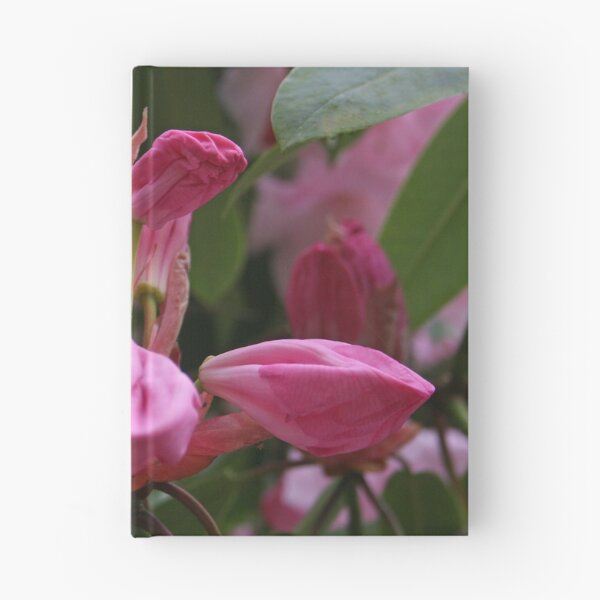 Item preview, Ready to Burst designed and sold by RedHillDigital.