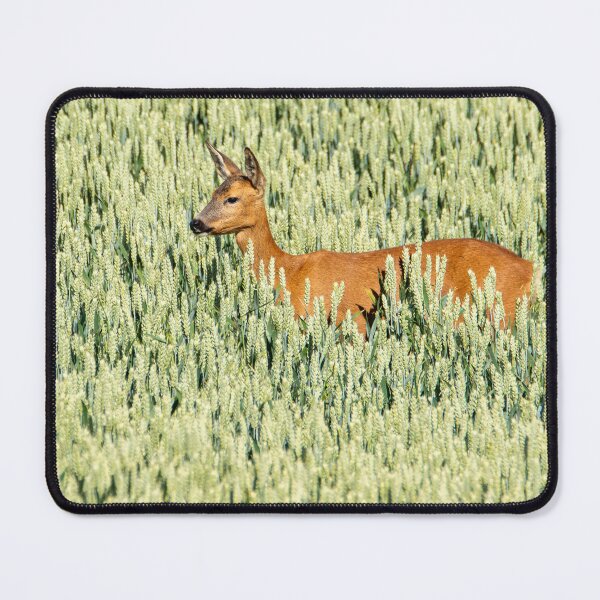 Item preview, Roe Deer designed and sold by Mike Cave.