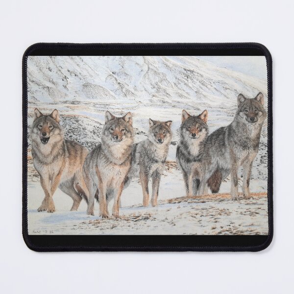 Item preview, Grey Wolf - The whole pack designed and sold by BeckyKidus.