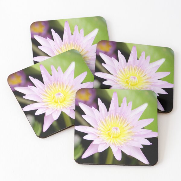Item preview, Feng Shui Pink Lotus Flower in Bloom designed and sold by FengShuiLounge.