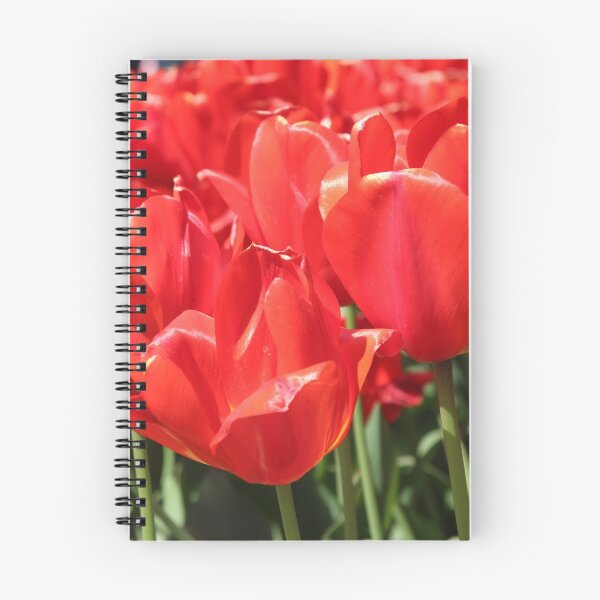 Item preview, Red tulips. Flower garden designed and sold by Chari-ot.