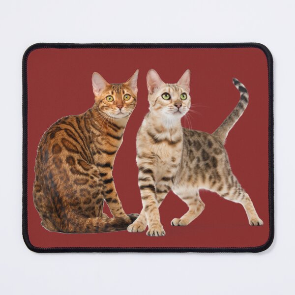 Item preview, Bengal Cat Breed Pictures designed and sold by cute-cats-world.