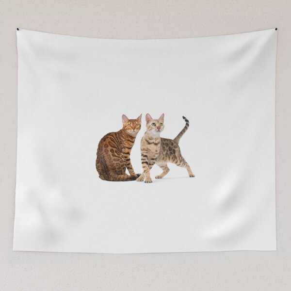 Item preview, Bengal Cat Breed Pictures designed and sold by cute-cats-world.