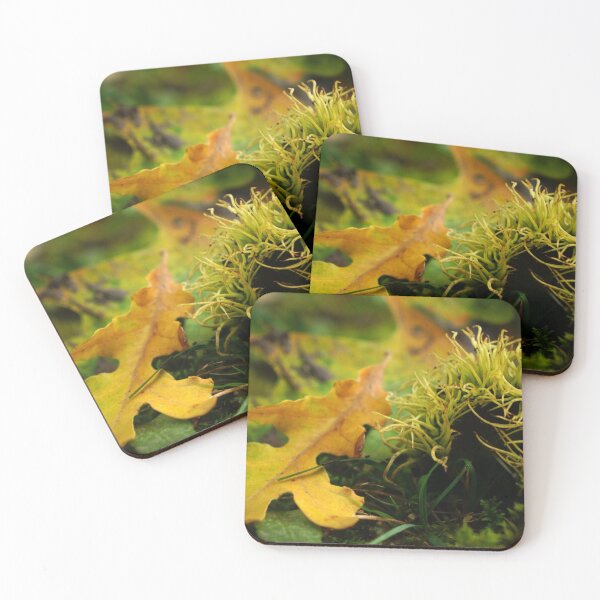 Item preview, Bur Acorn with Autumn Leaves designed and sold by Nalinne Jones.