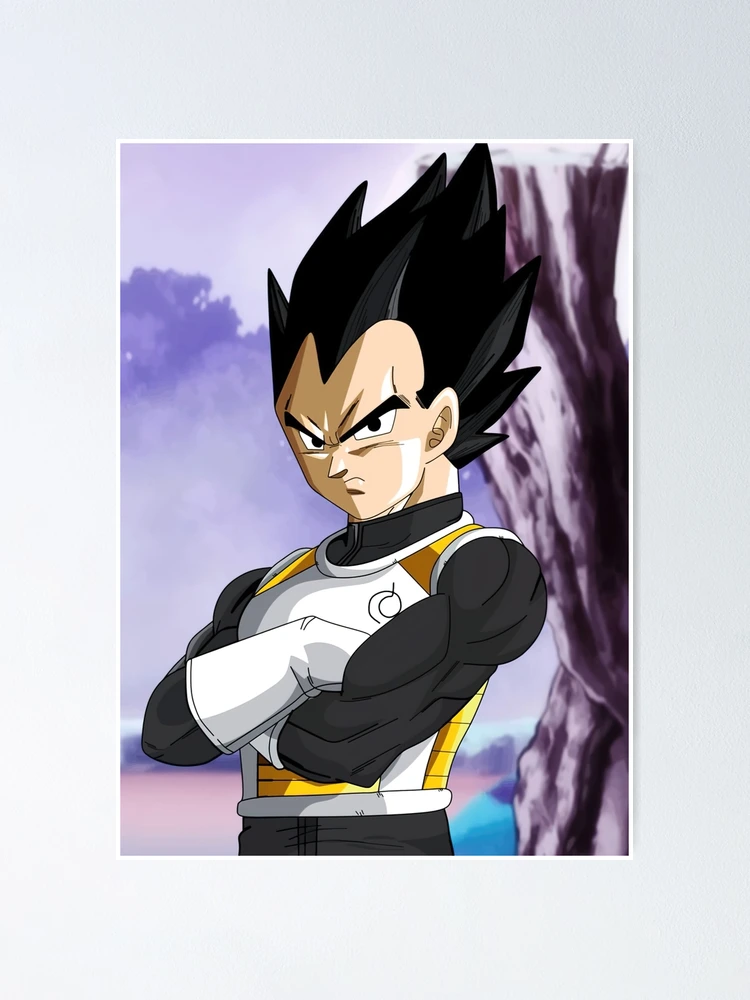 Dragon Ball Z Anime Hat Vegeta Saga Character Panel Flatbill