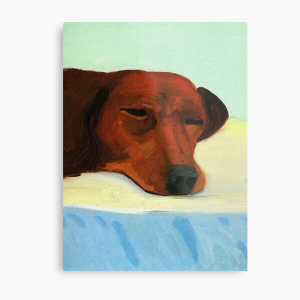 david hockney dachshund paintings Metal Print