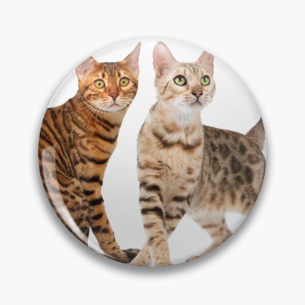 Item preview, Bengal Cat Breed Pictures designed and sold by cute-cats-world.