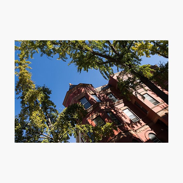 Item preview, Framing the Ornate Pink House - Washington, DC Dupont Circle Neighborhood  designed and sold by Georgia Mizuleva.