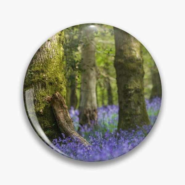 Item preview, A vertical slice through a Bluebell wood designed and sold by CyaniRose.