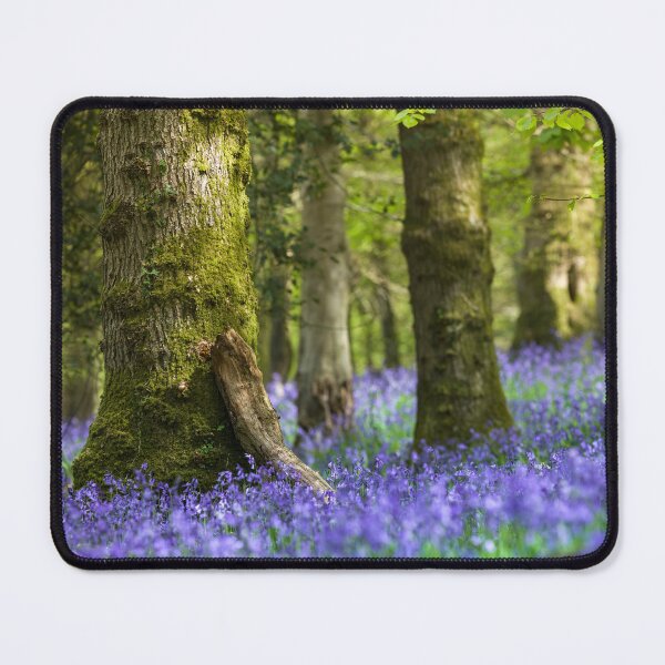 Item preview, A vertical slice through a Bluebell wood designed and sold by CyaniRose.