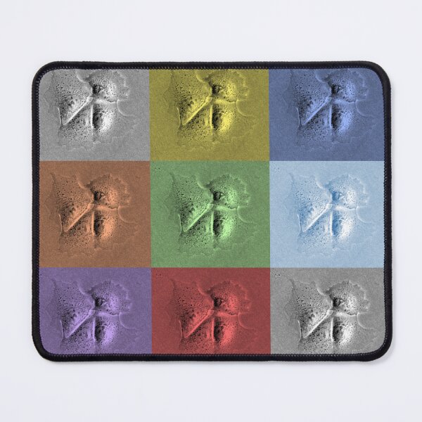Item preview, Pastel Cell Panel - Art By Science designed and sold by ArtByScience.