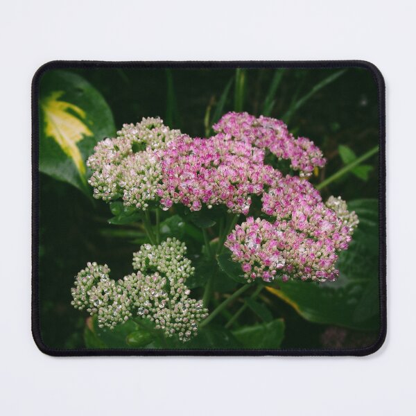 Item preview, Woodland flowers after the rain designed and sold by TheNinthMemory.