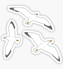 A Trio of Seagulls Sticker