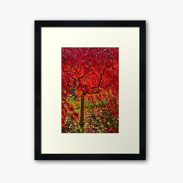 Item preview, 0374 Autumn red - Mount Macedon designed and sold by Hans Kawitzki.