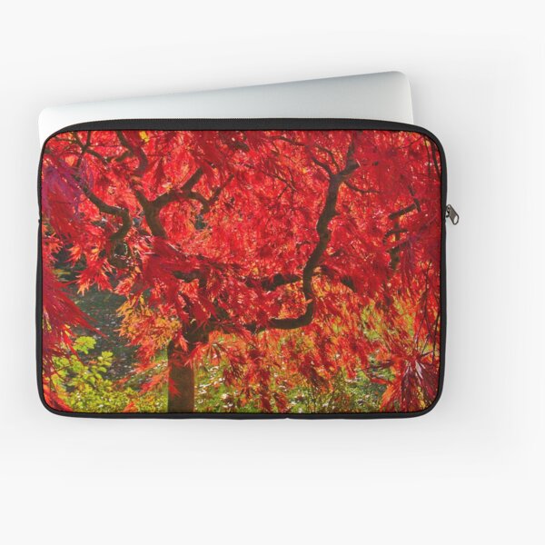 Item preview, 0374 Autumn red - Mount Macedon designed and sold by Hans Kawitzki.