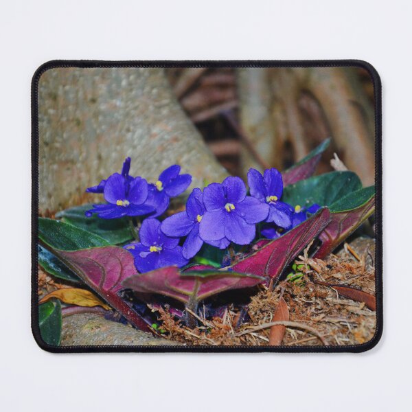 Item preview, African Violet  designed and sold by Savannah Gibbs.