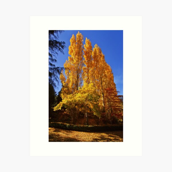 Item preview, 0375 Autumn gold - Mount Macedon designed and sold by Hans Kawitzki.