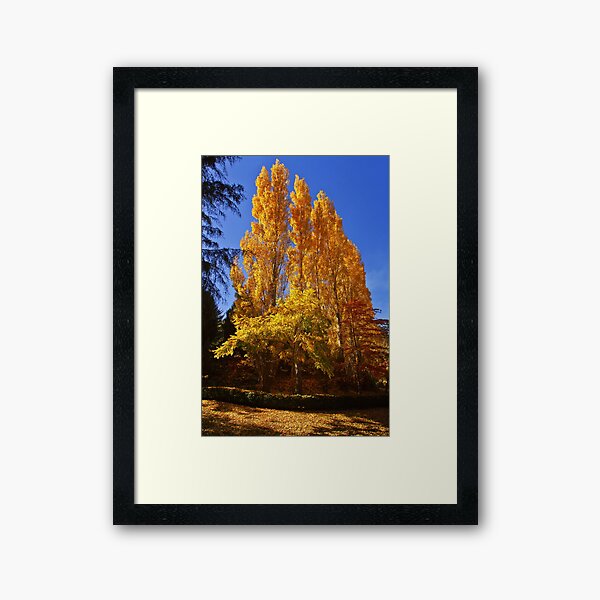Item preview, 0375 Autumn gold - Mount Macedon designed and sold by Hans Kawitzki.