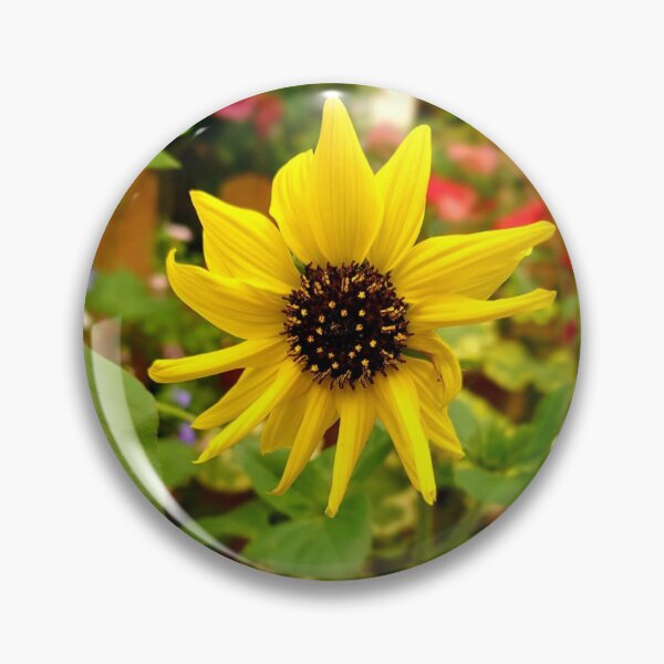 Item preview, Sunshine Summer Sunflower. Flower of Hope. Garden Dreams designed and sold by Emma Boast.
