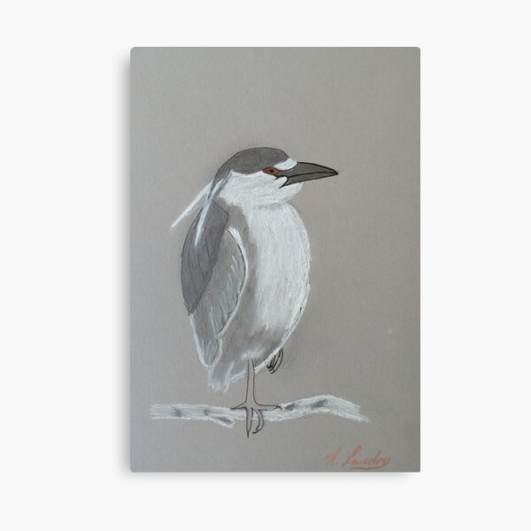 birds Canvas Print