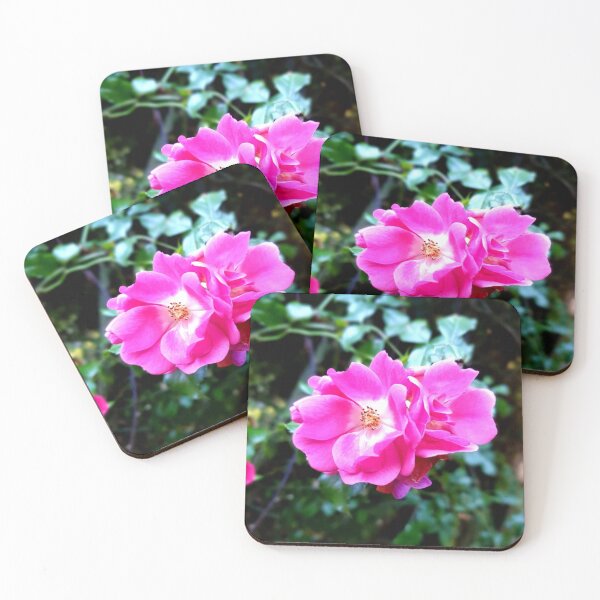 Item preview, Pink Roses, Bright Garden after the Rain. designed and sold by Emma Boast.