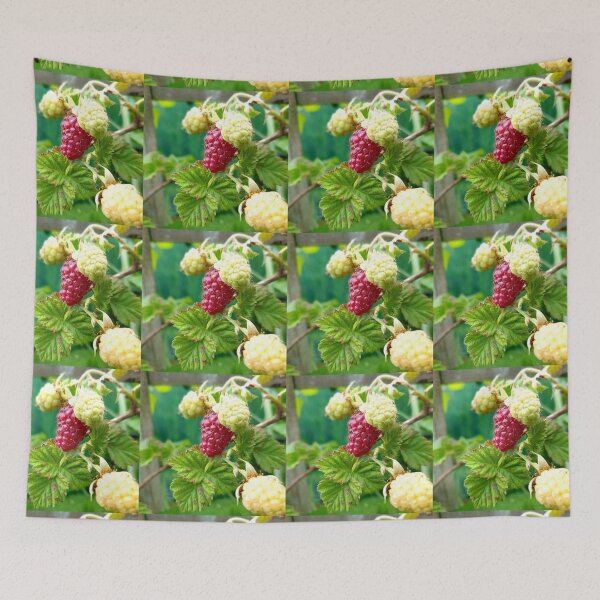 Item preview, Luscious Summer Raspberries, Berries, Fruits of Nature. designed and sold by Emma Boast.
