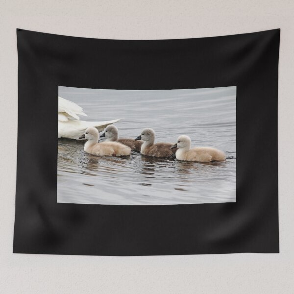 Item preview, Follow Mom designed and sold by Debbie Oppermann.