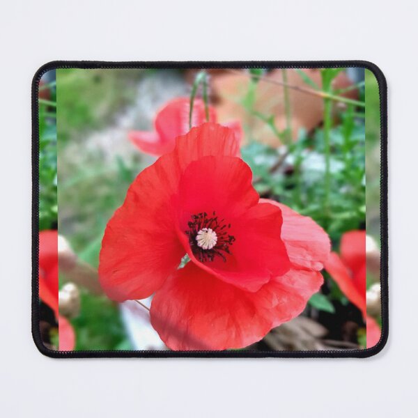 Item preview, Precious Poppy of Remembrance, Fields of Red. designed and sold by Emma Boast.