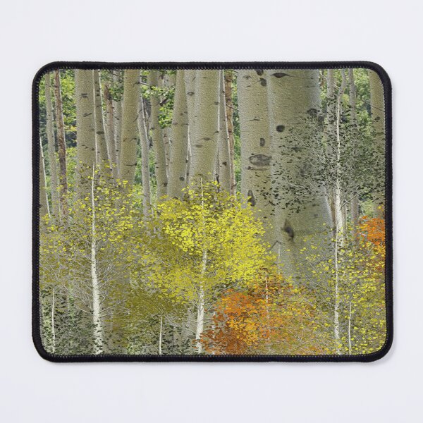 Item preview, Aspen grove designed and sold by ivanoel.