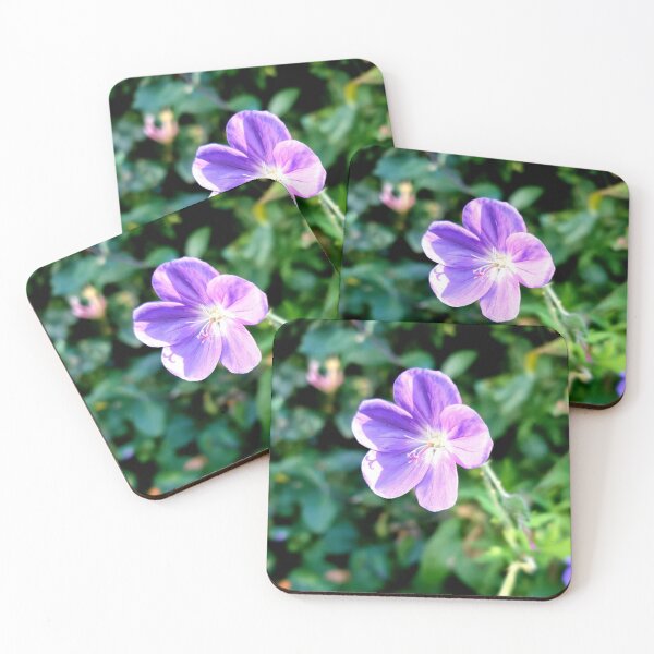 Item preview, Gorgeous Geraniums, Summer Sunshine in Britain designed and sold by Emma Boast.