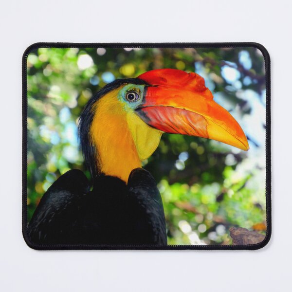 Item preview, Hornbill  designed and sold by Savannah Gibbs.